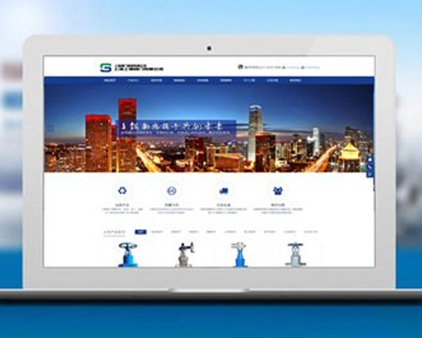 成都营销网站凭数据洞察功能，为企业决策提供精准依据创增长